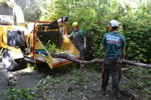 tree services Crossville